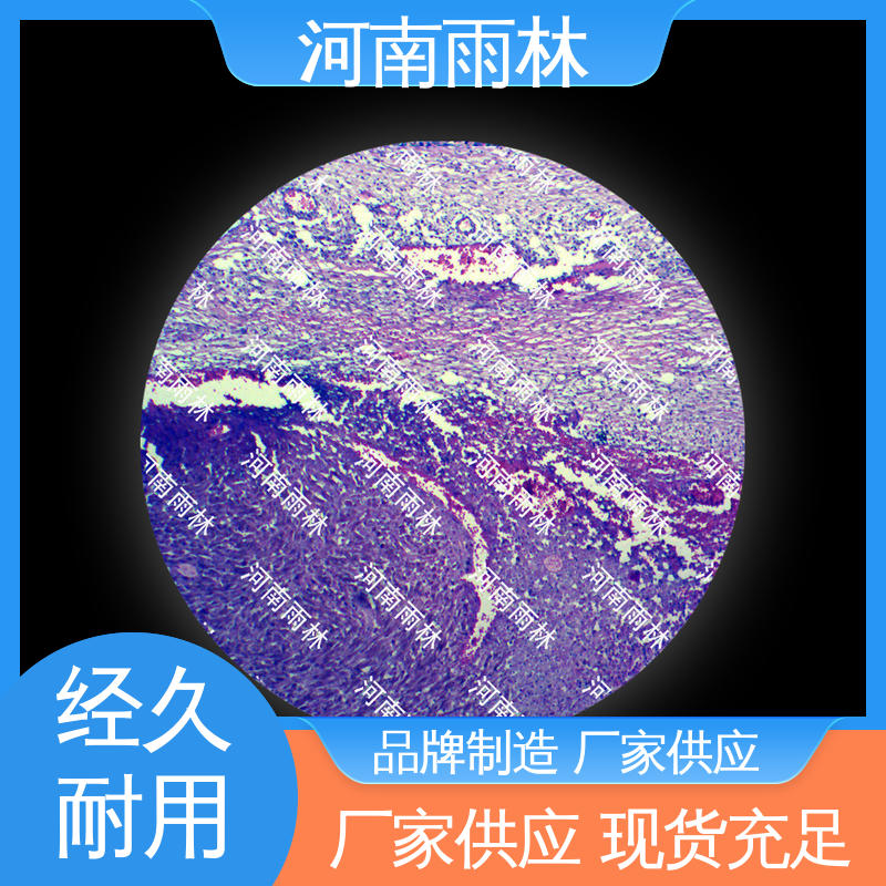 质量优 一对一质检 个性化定做 教学切片 雨林教育工程