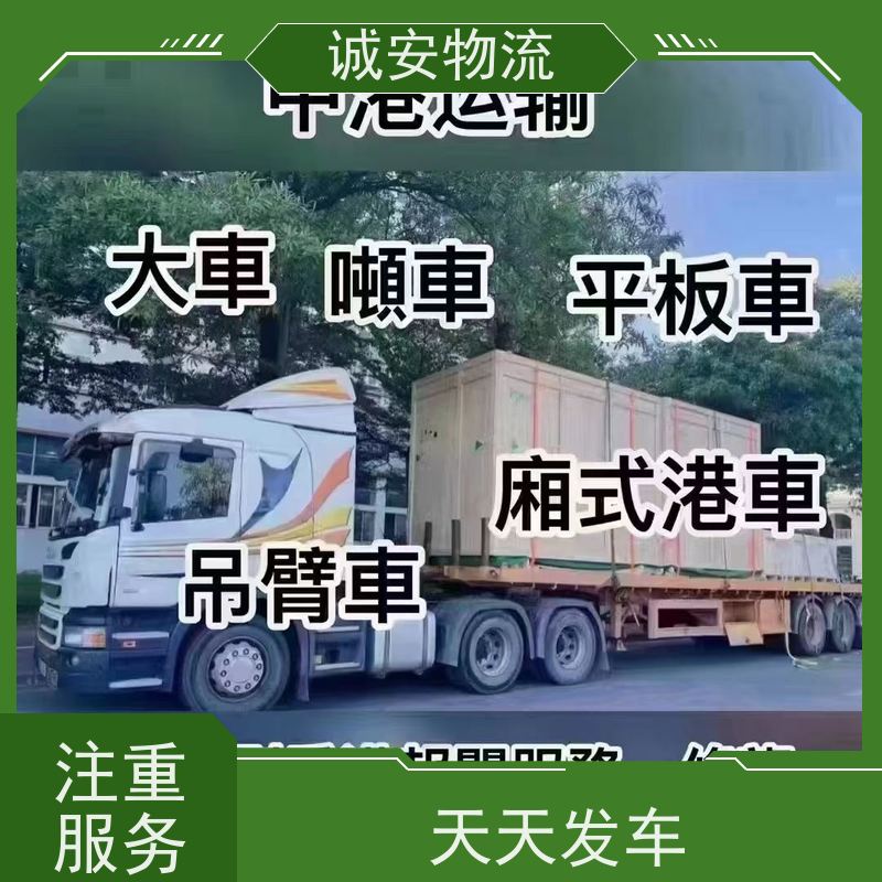 诚安物流40尺自备柜江门到香港专人跟单半天到