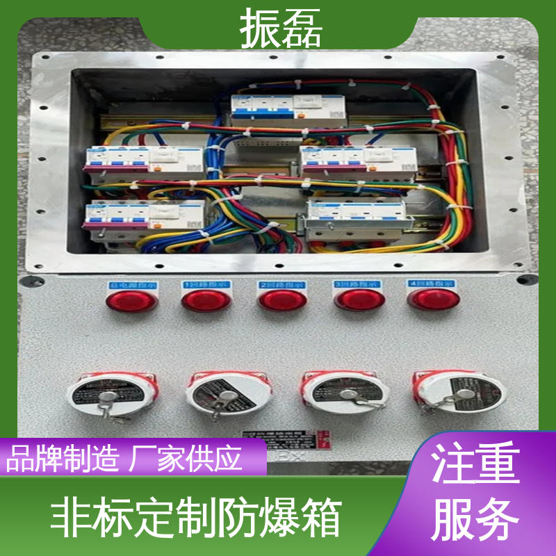 专用堵头 非标检修箱 BXM8050防爆防腐照明动力配电箱 振磊
