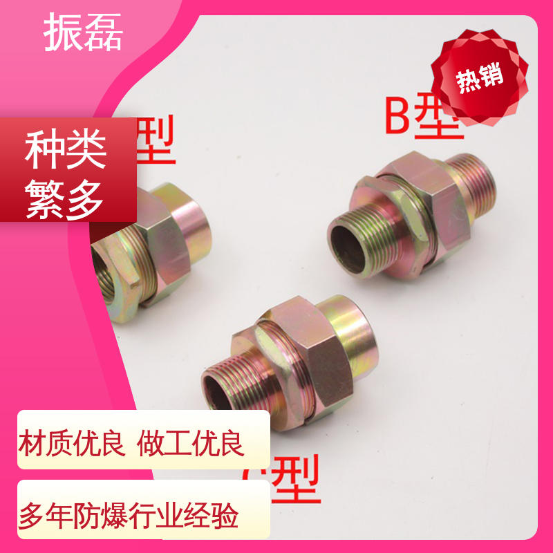防爆穿线管接头 双内丝A型DN20管件 非标 NPT和M螺纹定制 振磊