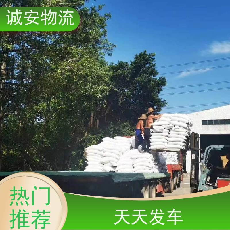 诚安物流10吨车阳江到广州一般贸易买单报关随时发车