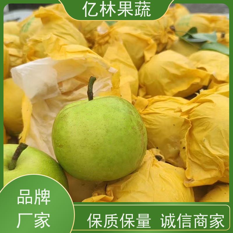 亿林苗木 园林嫁接桃苗 南北方种植 桃树果树苗 基地直发
