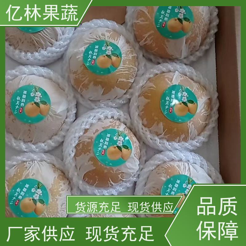亿林苗木 黄桃苗 桃树果苗批发 自家园林 果实饱满味道好