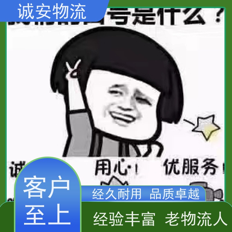 诚安10吨车惠州香港报关专线 品质卓越 便捷高效