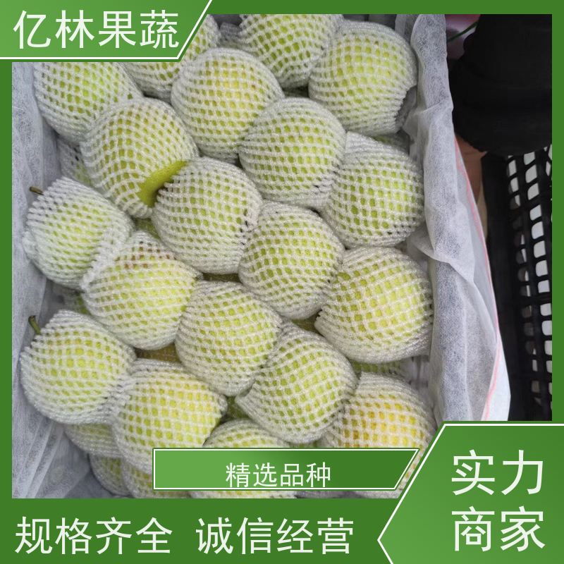 基地供应 奥红梨树苗 根系饱满成活率高 南北方种植 香酥梨果树