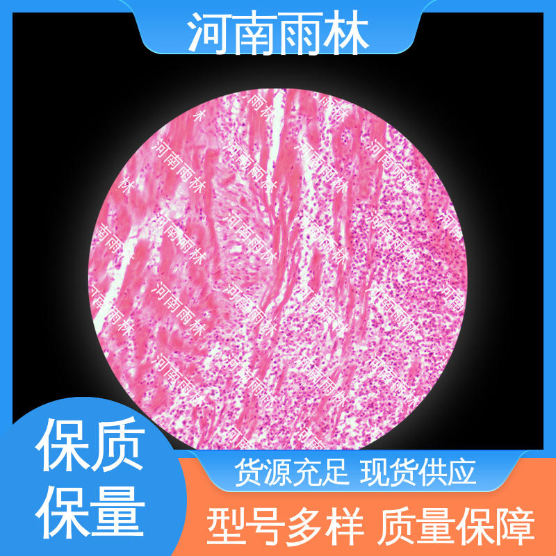 可后期加工 切片安全 实验标本 支持定制 雨林教育