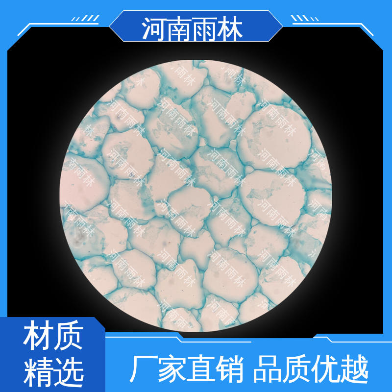 雨林 可后期加工 质量保障 高等教育 个性化定做