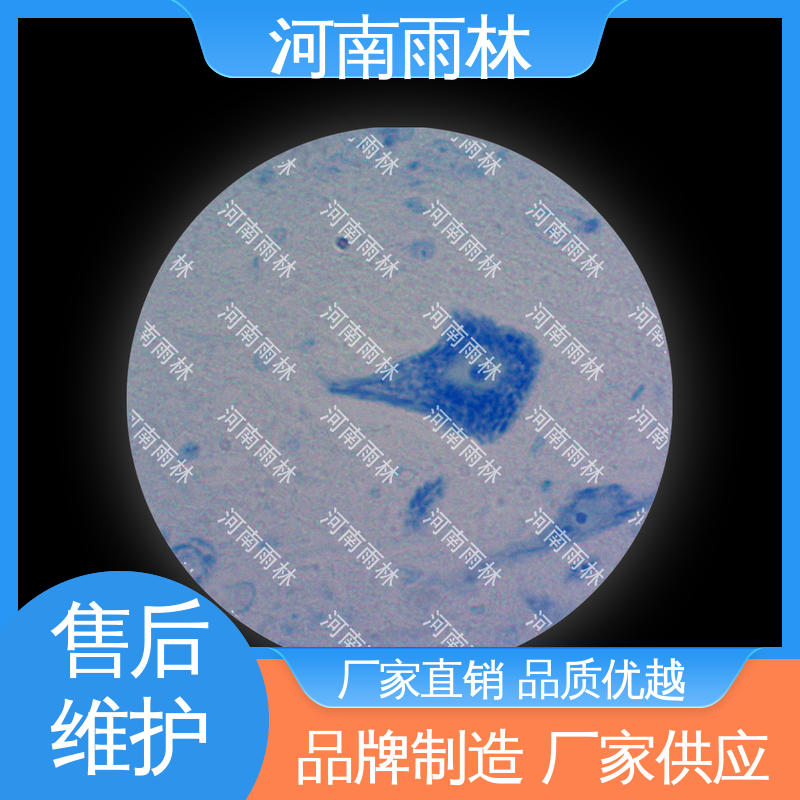 雨林教育工程 品质优良 显微切片 厂家销售 性价比高