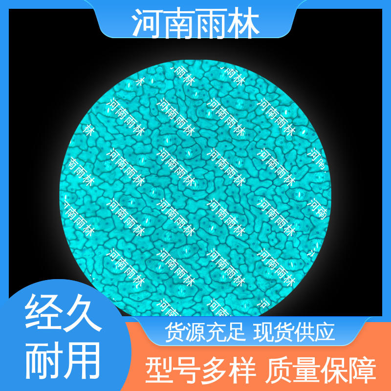 源头工厂 可提供材料 显微切片 一对一质检 雨林教育