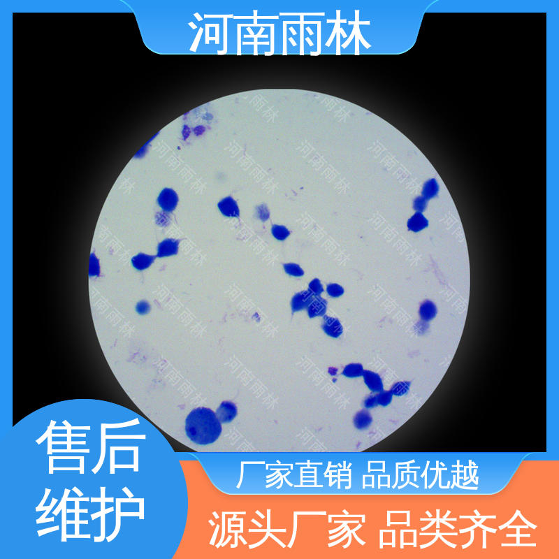 雨林 可提供材料 显微切片 厂家销售 一对一质检