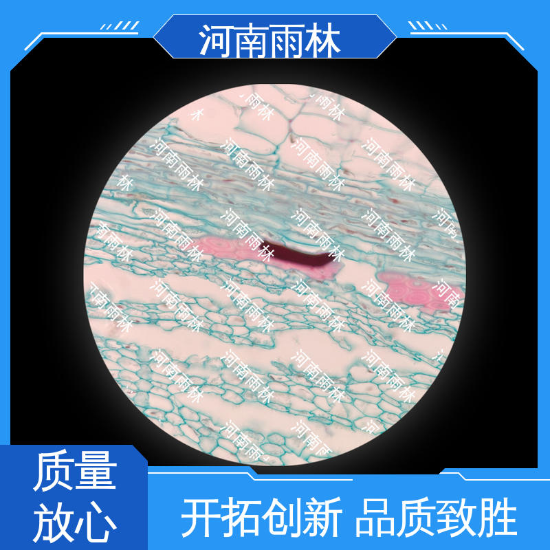 可后期加工 源头工厂 质量保障 植物切片 雨林教育