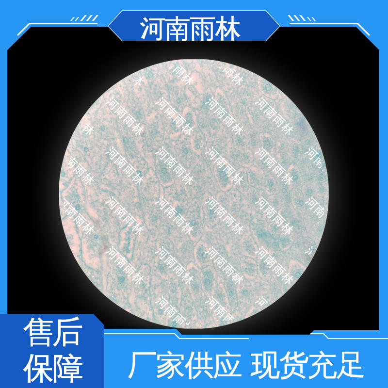 品质优良 教学切片 质量优 个性化定做 雨林教育