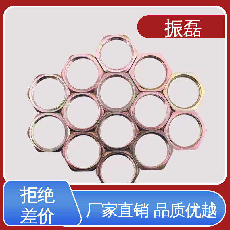 BHJ G3/4六角根母DN20锁片 碳钢格兰头 防护等级IP55 振磊