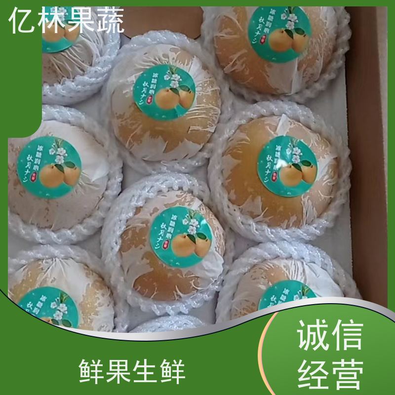 基地供应 园林嫁接桃苗 晚熟品种桃 口感脆甜 根系饱满成活率高