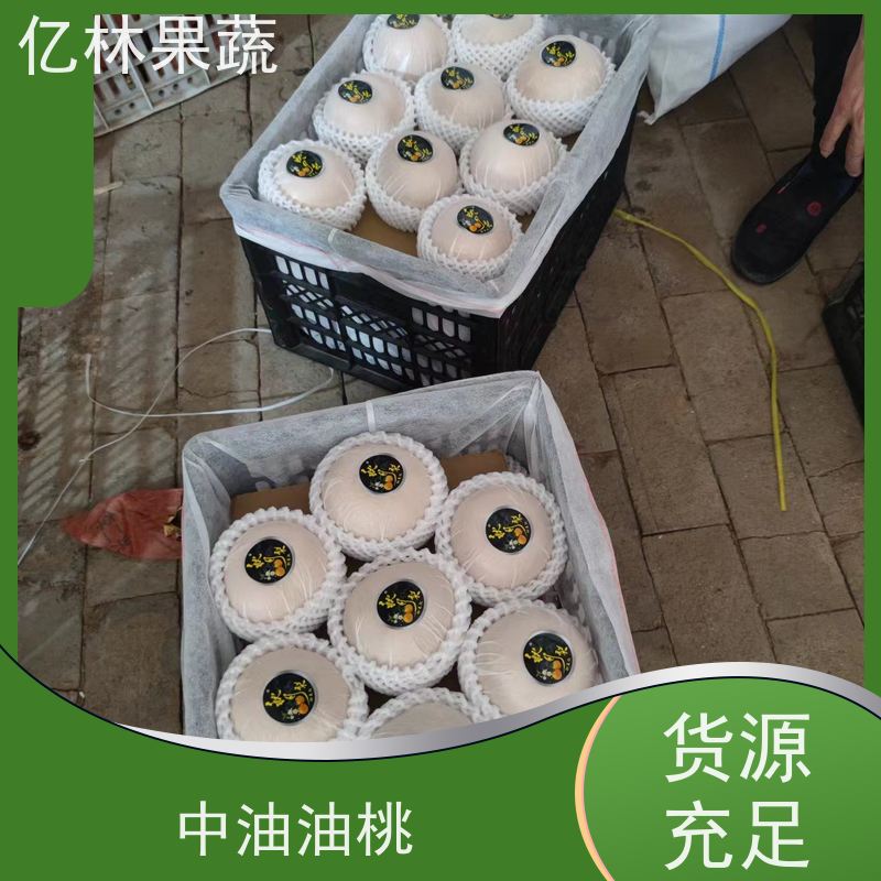 基地供应 黄金梨树苗 根系饱满成活率高 黄尊蜜梨 口感香甜