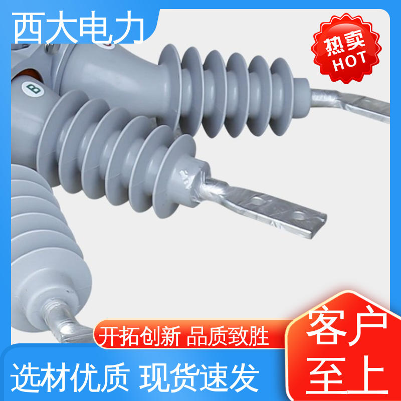 支持根据图纸定做 ZW20-12F/630 看门狗智能真空断路器 西大电力