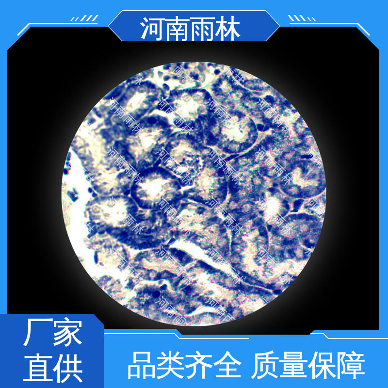 雨林教育工程 可提供材料 个性化定做 各类标本 一对一质检