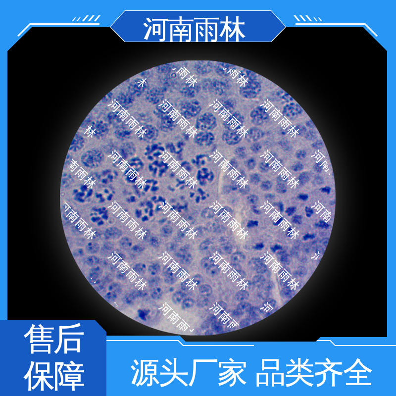 售后无忧 各类标本 厂家销售 细胞清晰 雨林教育