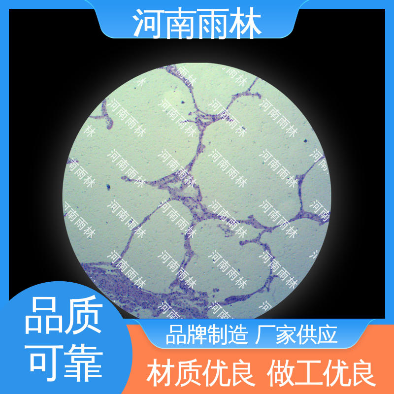 雨林教育工程 品质优良 厂家销售 性价比高 教学切片