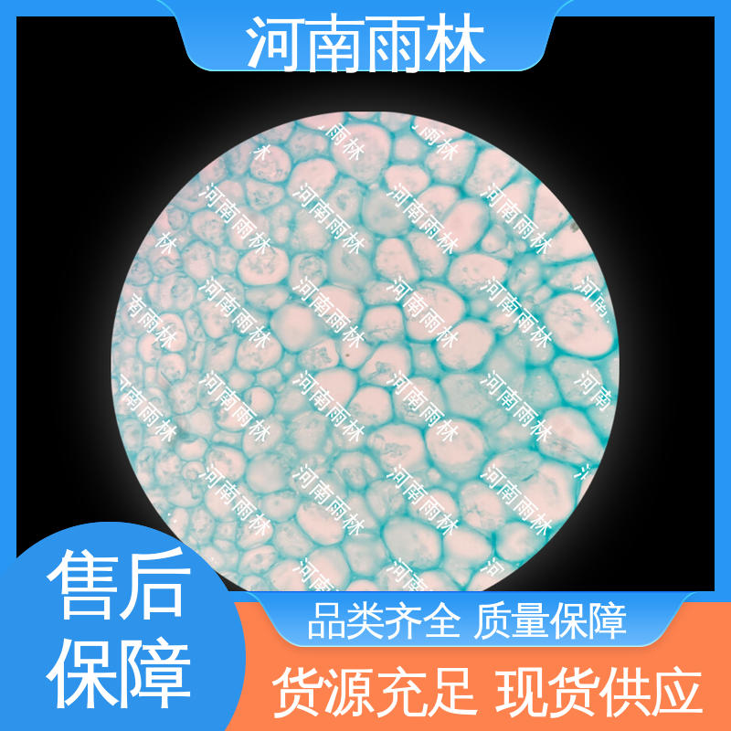 颜色鲜亮 生物切片 可提供材料 支持定制 雨林教育