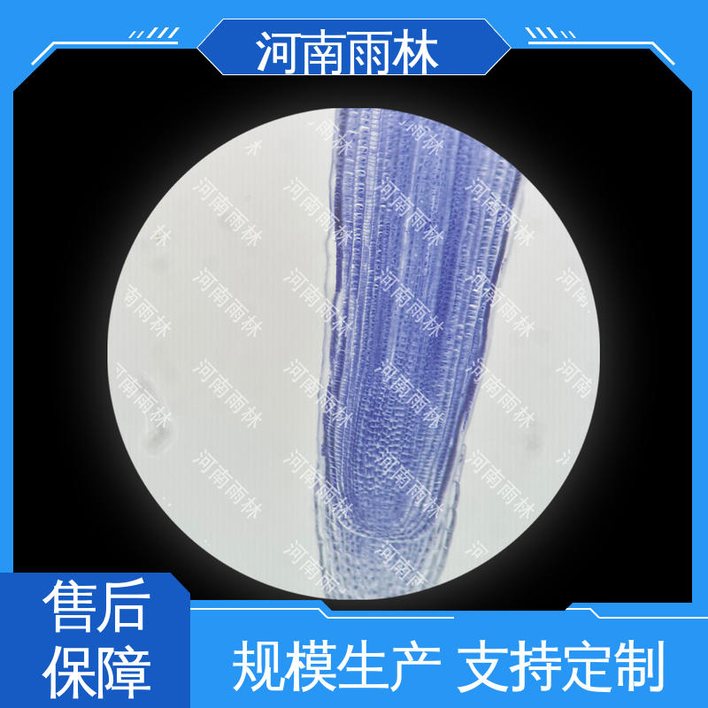 雨林教育工程 厂家销售 一对一质检 可定制 植物标本