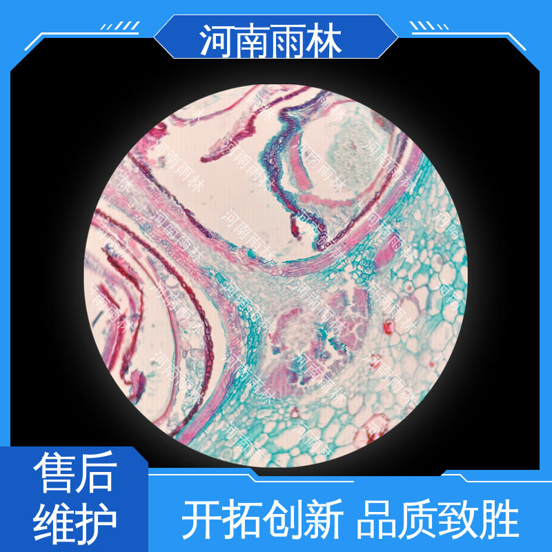 雨林教育 一对一质检 厂家销售 质量优 实验标本