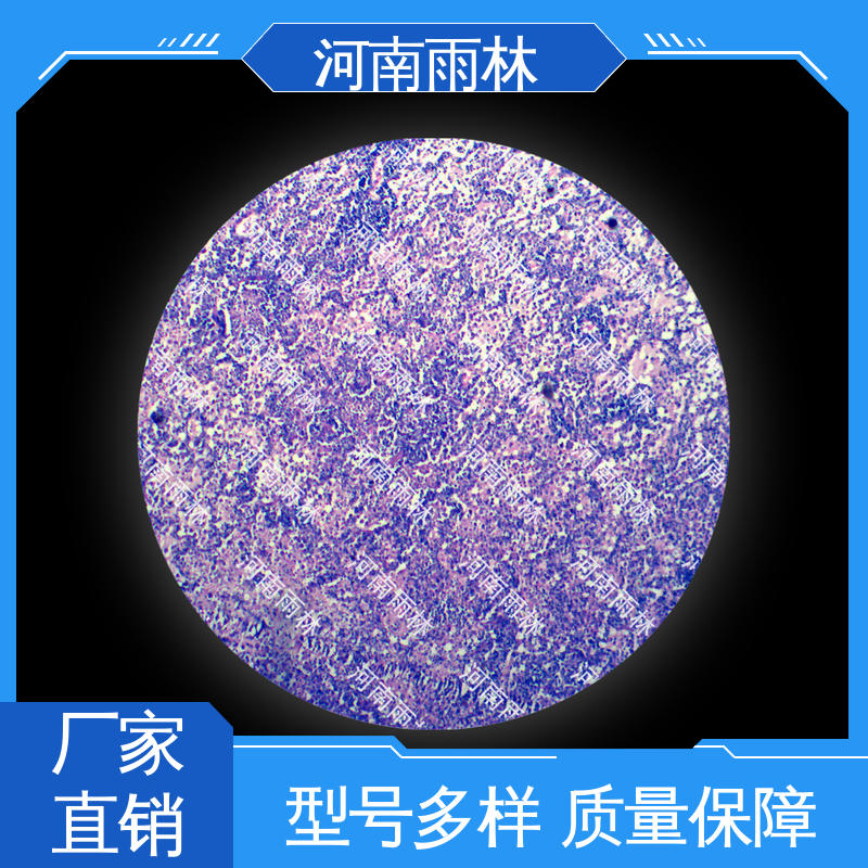 个性化定做 植物标本 售后无忧 一对一质检 雨林教育工程