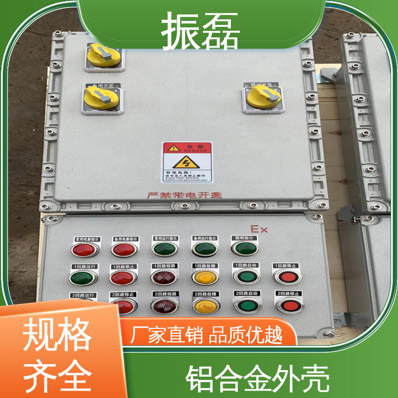 IP66 IIBT6级 增安型分线端子箱 工地 不锈钢配电箱 振磊
