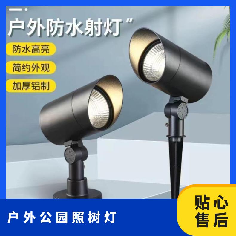 户外防水led射树灯庭院花园照树灯景观别墅地插灯草坪插地灯