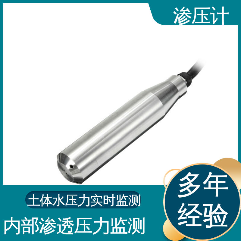 堤防水工建筑物 内部孔隙水压 硅压阻式渗压计 自动化实时监测
