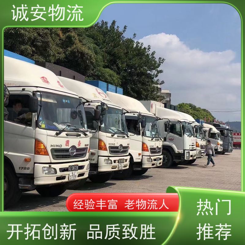 诚安物流10吨车河源到香港进口报关随时发车