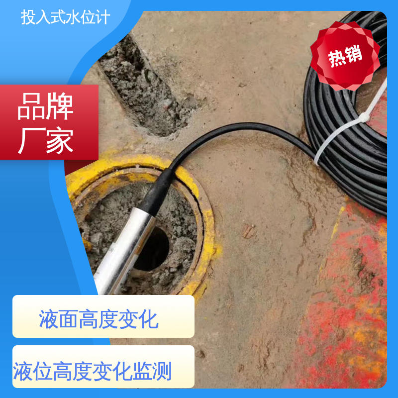 自动化实时监测 投入式水位计 测水面高度 污水管道处理