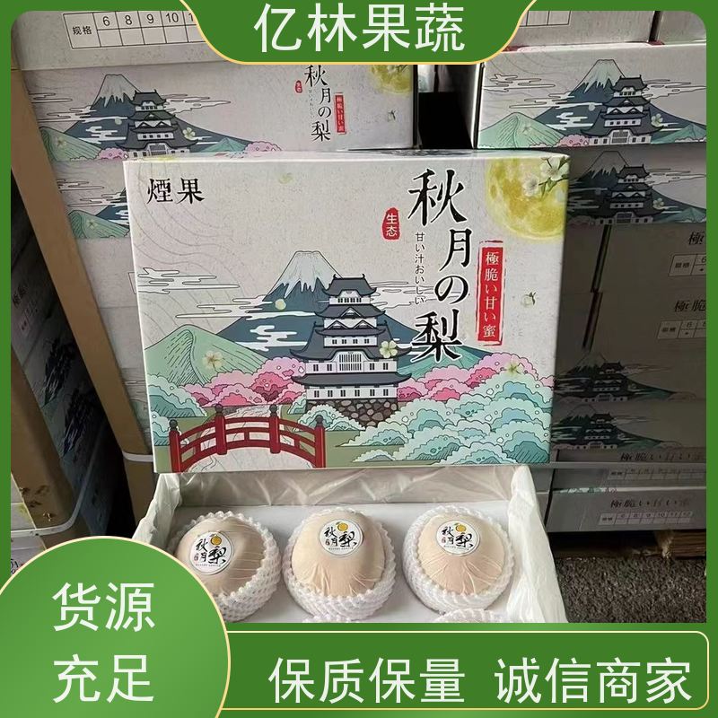 基地供应 根系饱满成活率高 新农酥梨 现挖现发 早酥红梨苗