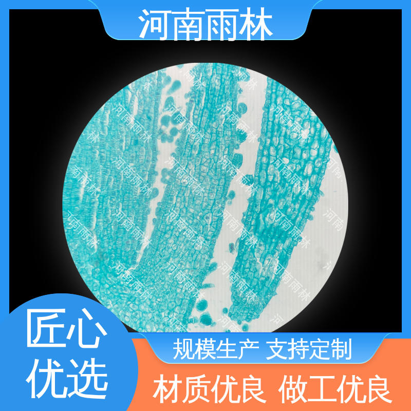 雨林教育工程 个性化定做 切片安全 各类标本 可定制