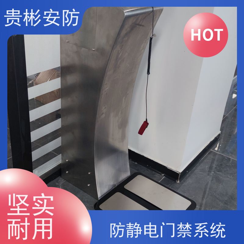 贵彬安防 电子厂车间 人脸识别防静电闸机 品质稳定 口碑好 诚信经营