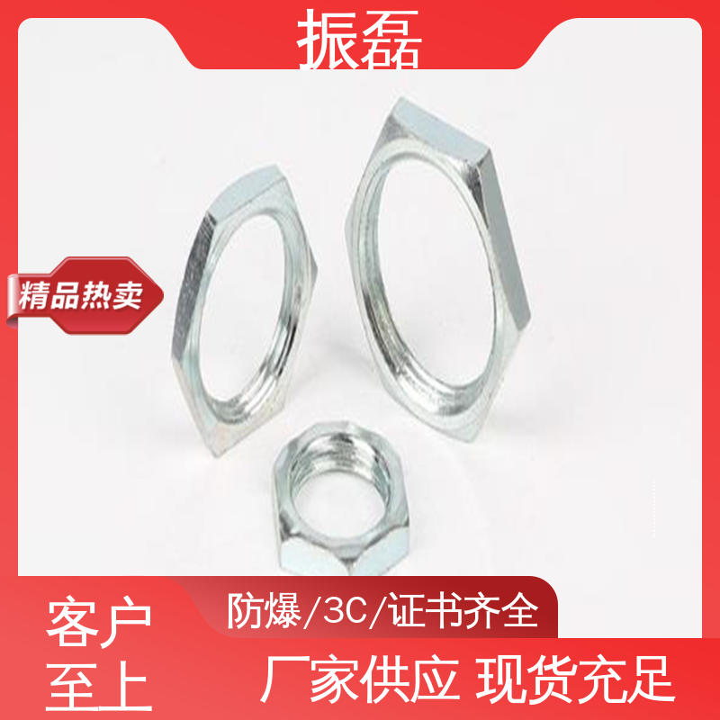 振磊 管箍配件 GM 防爆六角螺母锁 防腐密封性强