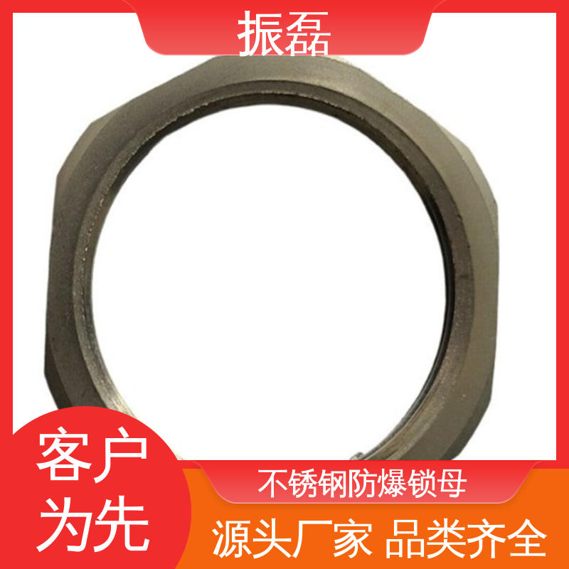 振磊 管箍配件 304 外六角不锈钢补芯G1/2 防爆锁母