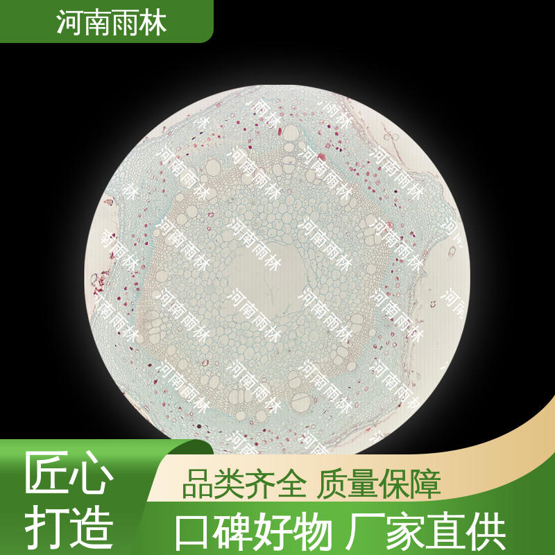 售后无忧 支持定制 植物病害标本 质量保障 雨林教育工程