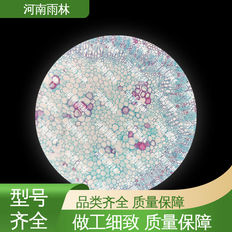 售后无忧 质量保障 植物标本 支持定做 雨林教育