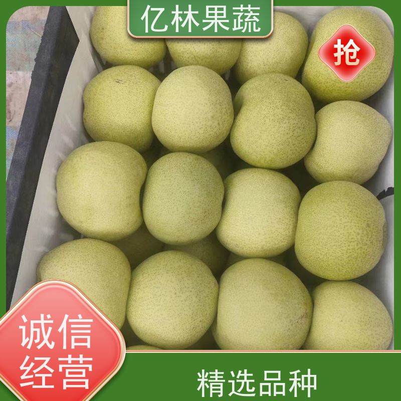 基地供应 秋彤桃 南北方种植 桃树果树苗 果实饱满味道好