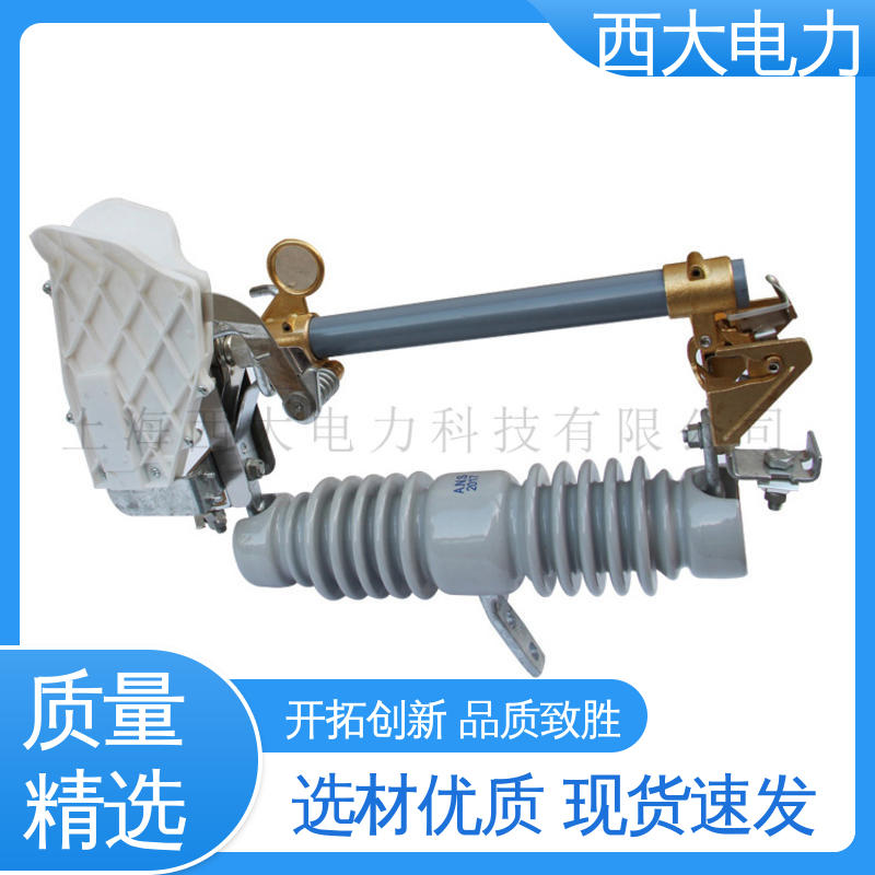 RW12-15 轻巧耐用 安装灵活 防风型熔断器 西大电力