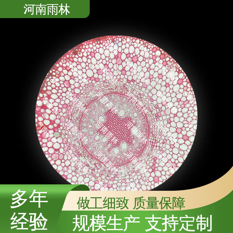 显微标本 性价比高 支持定制 质量保障 雨林教育工程
