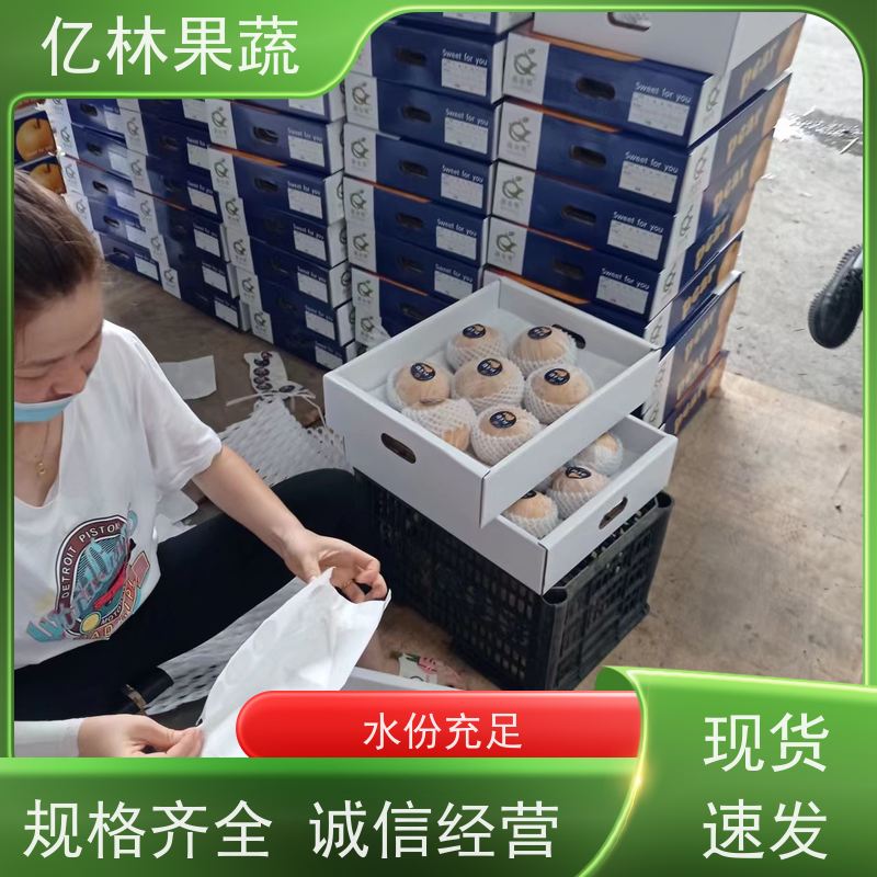 基地供应 桃树苗 现挖现发新鲜 粗两公分 成活率高
