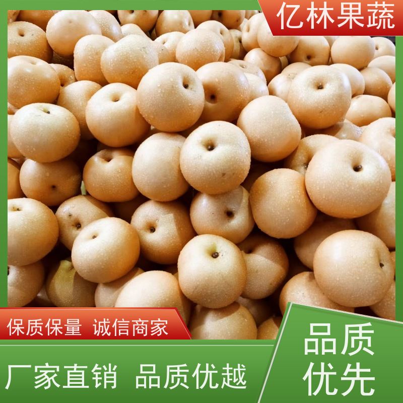 基地供应 桃树苗 三公分现挖现发 品种齐全 根系饱满成活率高