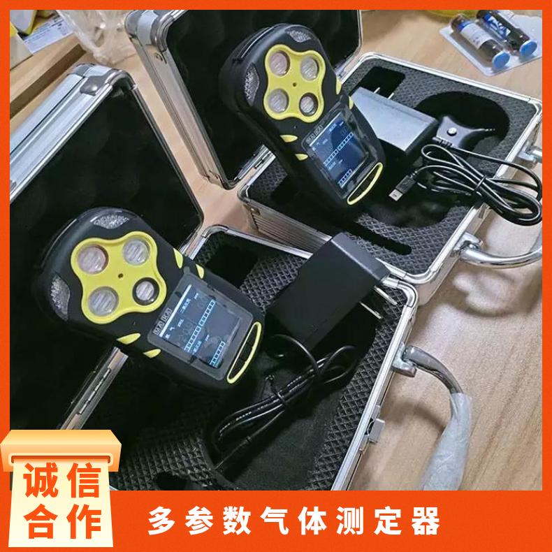 CD3(A)多参数气体测定器支持O2/CO/CH4的测量