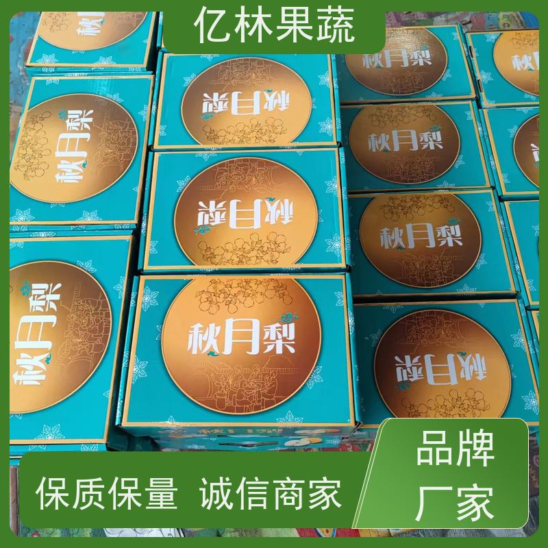 基地供应 油桃苗 盆栽地栽庭院桃树苗苗 成活率高