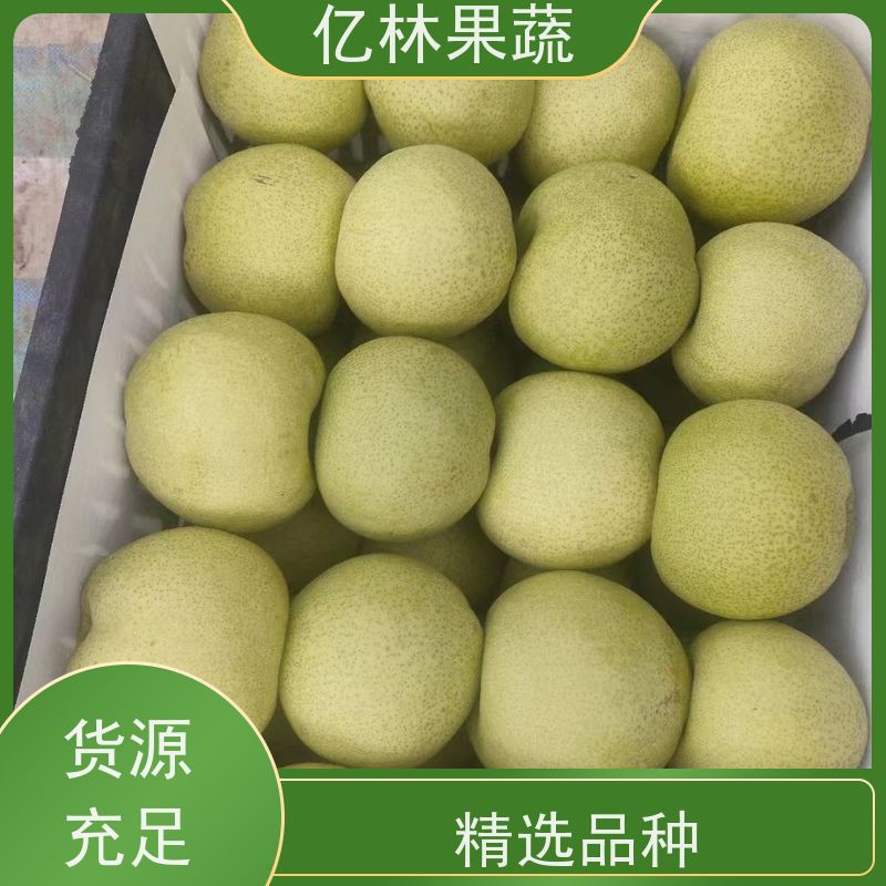 基地供应 中秋红梨树苗 成活率高 三公分现挖现发 品种齐全