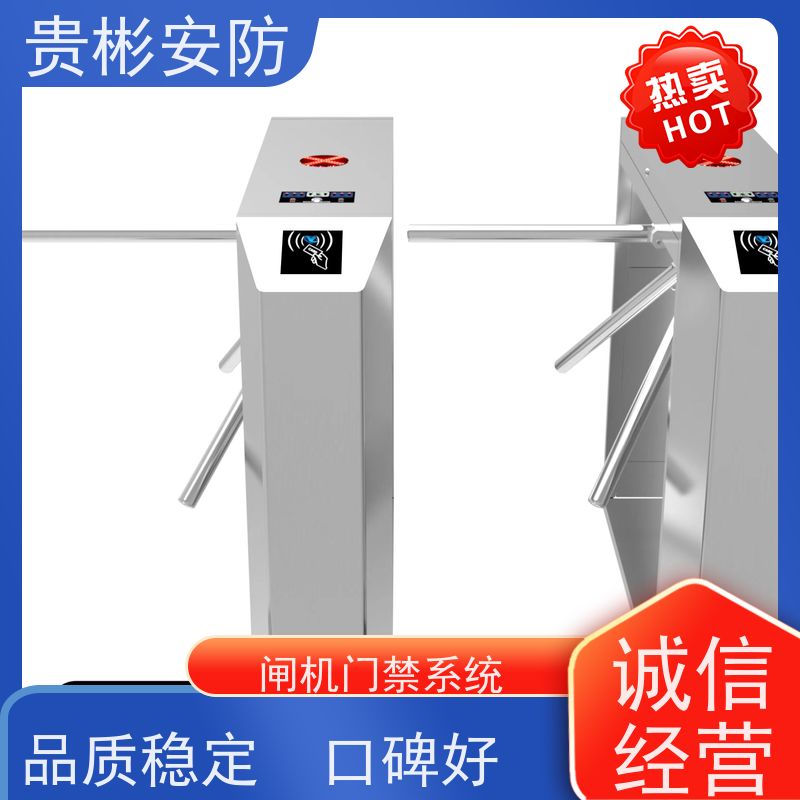 贵彬安防 闸机门禁系统 esd静电测试摆闸 304不锈钢材质 应用广泛