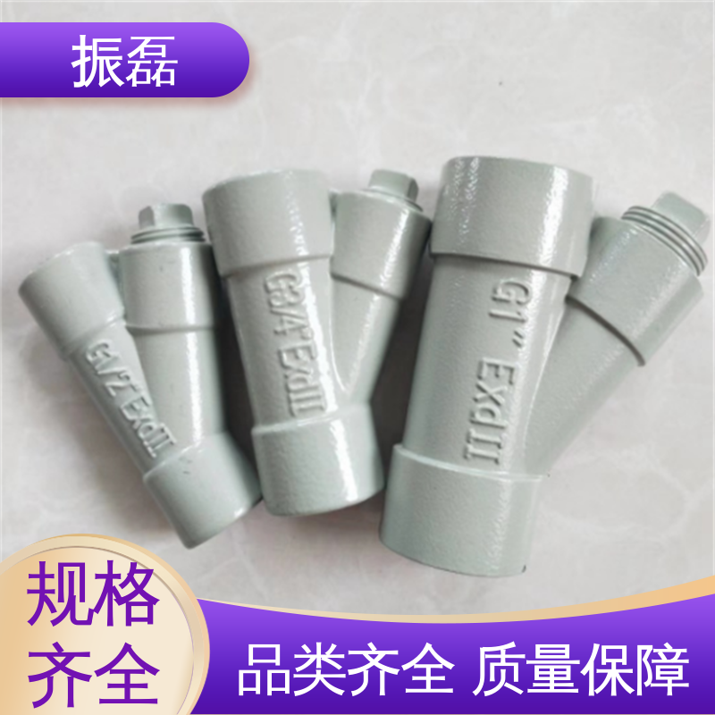 振磊 MBG 横向性 DN-3/4 6分 1寸 不锈钢防爆隔离密封盒