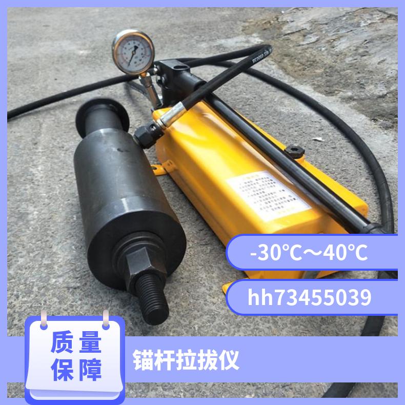 矿用锚杆拉力计LDZ-200 精心造质可靠指针式显示 